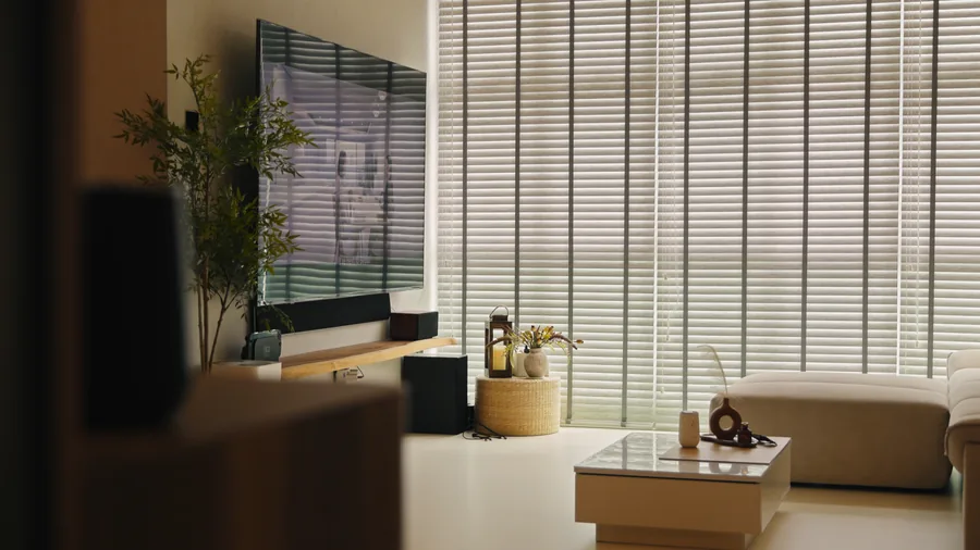 Living area with concealed storage and timber blinds